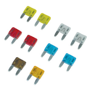 Assorted Mini Fuses