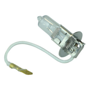 H3 12V 55W Globe